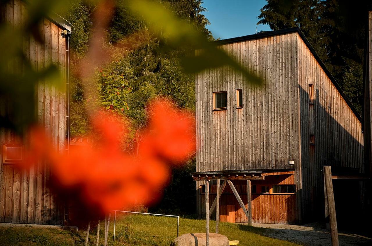 Naturepark Resort Harrachov Exteriér fotografie